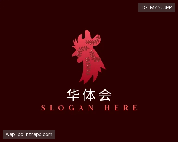 关于华体会世界杯